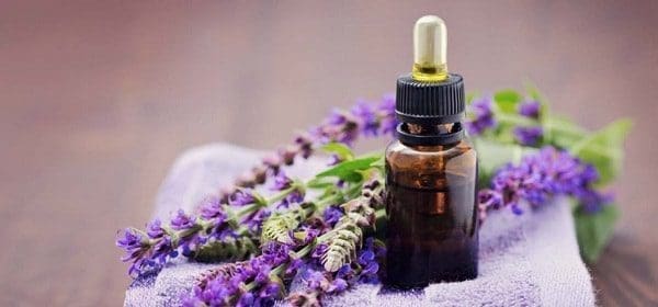 princípio do impacto dos aromas aromaterapia cheiro óleos essenciais