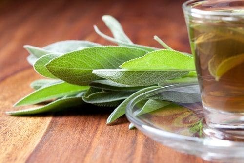 óleo essencial de sálvia Salvia sclarea Salvia officinalis pressão saúde cosmetologia pele cabelos