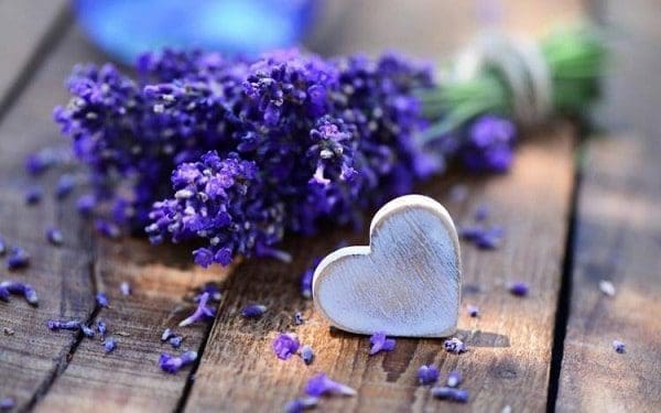 lavanda amor magia proteção saúde stress 