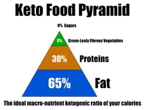 Dieta cetogênica saúde diabetes autismo cerebro