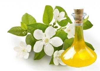 Óleo essencial Neroli aromaterapia saúde pele pressão alta