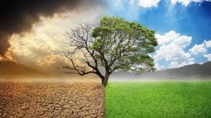 Visão mundo Escassez Abundância magia