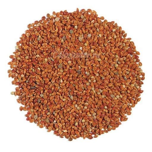 sorgo saúde diabetes dieta glutem cancer