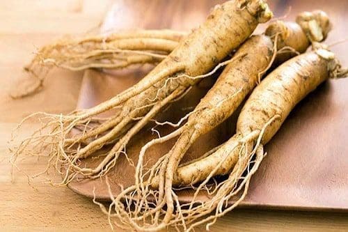 ginseng saúde dieta corpo pele coração 