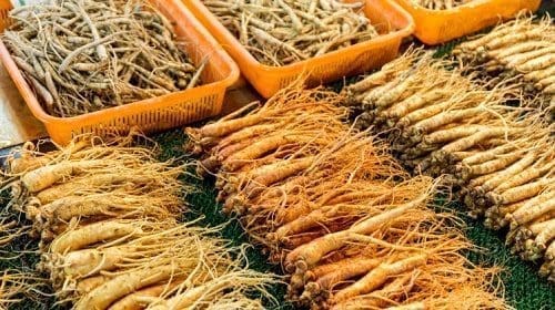 ginseng saúde dieta corpo pele coração 