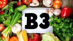 A niacina, também conhecida por muitos como vitamina B3, é considerada um dos nutrientes mais importantes para o corpo humano